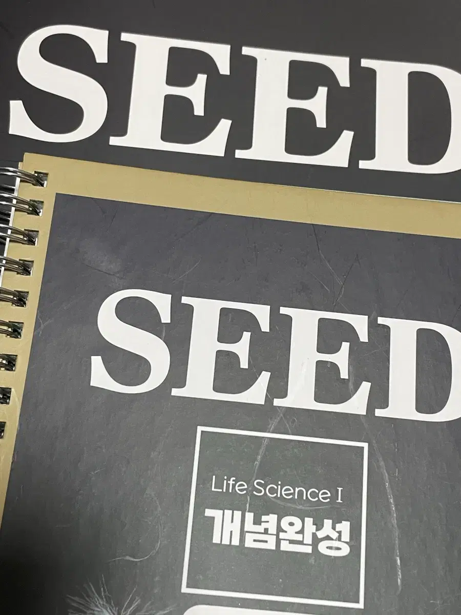 2026 박선우 SEED